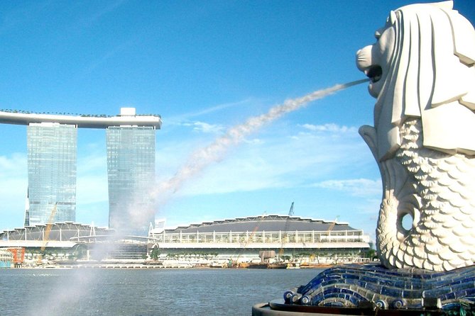 City Tour+Gardens by the Bay(FlowerDome&JurassicWorld) Transfers - Who should book this four-hour tour?
