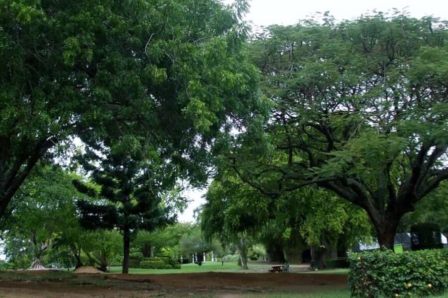 City Tour w/ Gardens, Volcano, Trafalgar Falls, Morne Bruce - A fast, useful introduction to Roseau