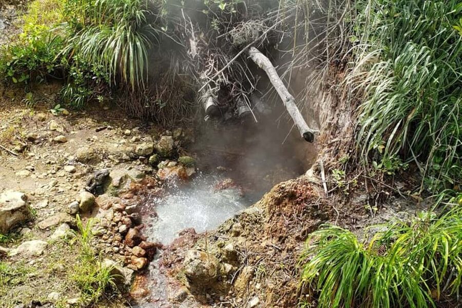 City Tour w/ Gardens, Volcano, Trafalgar Falls, Morne Bruce - Guide quality and the small-group feel