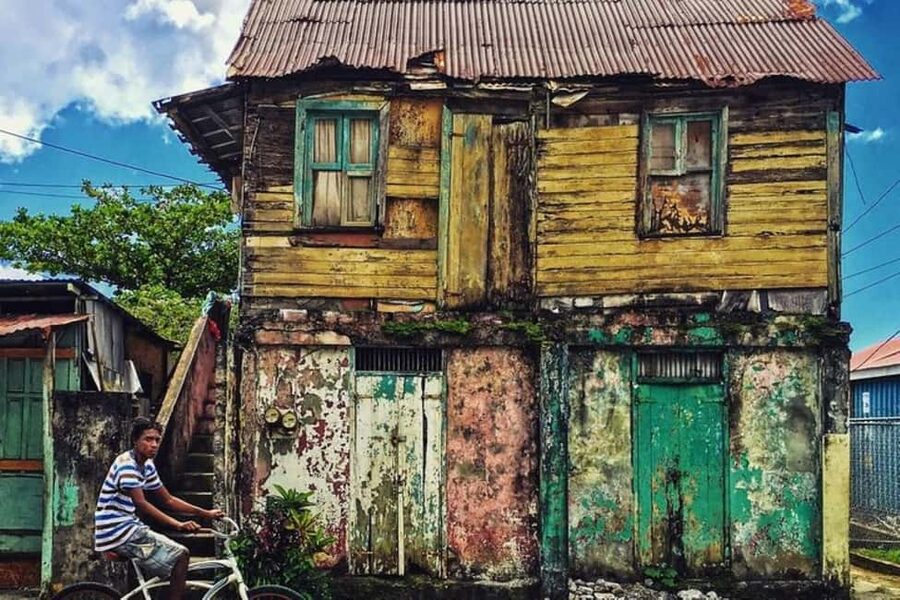 City Tour w/ Gardens, Volcano, Trafalgar Falls, Morne Bruce - Who will get the most from this tour