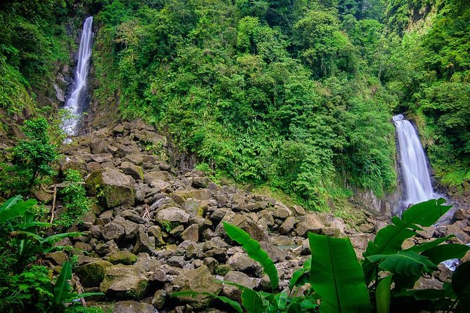 City Tour with Botanical Gardens, Trafalgar Falls & Morne Bruce - Botanical Gardens: useful, but not a formal garden visit