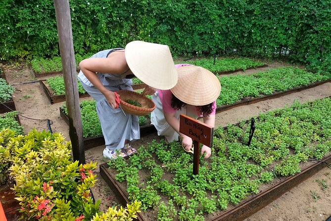 Cooking Class Hoi An - Organic Garden - Farming Tour-Handicrafts - Timing, group size, and practical details