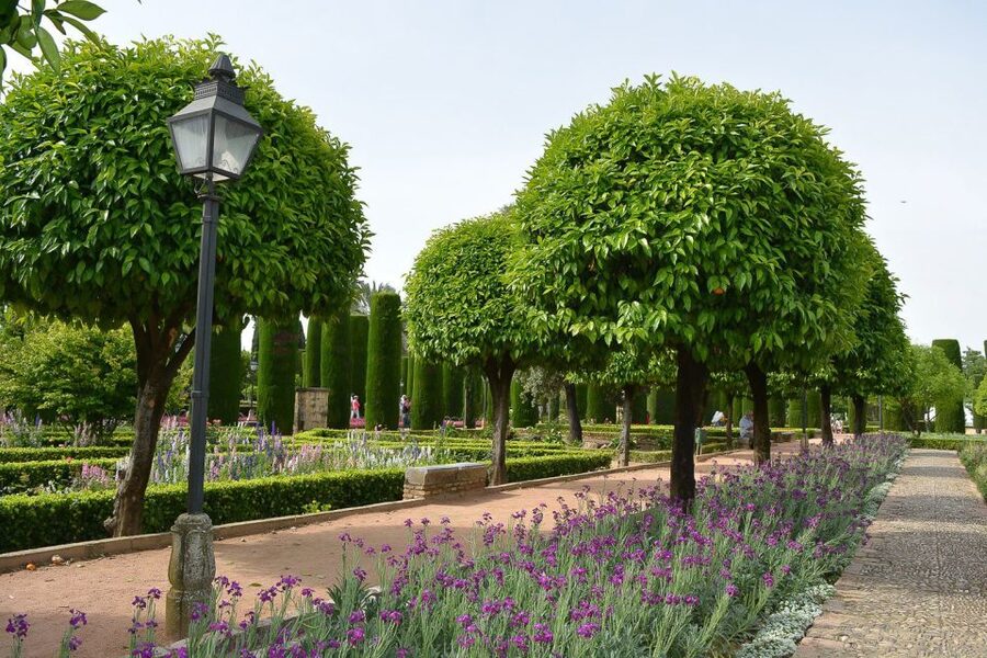 Cordóba: Gardens & Fortress of Catholic Monarchs Guided Tour - Languages, timing, and physical comfort