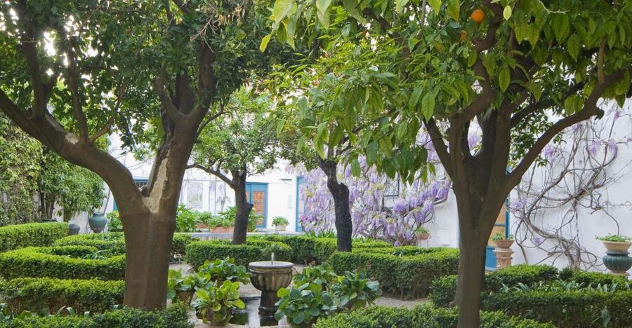 Córdoba: Viana Palace Gardens and Patios Entry Ticket - The first courtyards reveal Córdoba’s courtyard culture