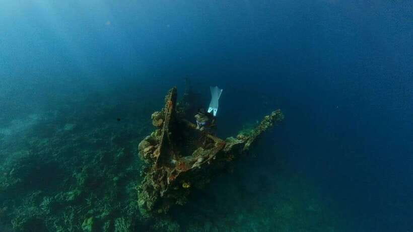 Coron: Barracuda Lake and Reef Garden Tour with Lunch - Key points to know before you book