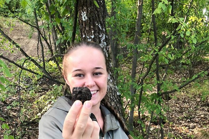 Culinary Adventure To The Fungi And Botanical Kingdom Of Bulgaria - From forest finds to a Bulgarian picnic