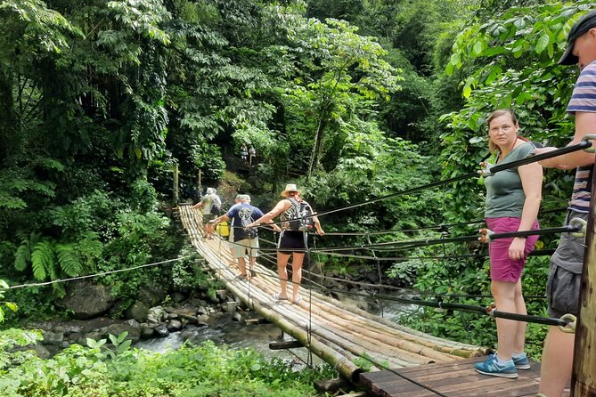 Dark View Falls & Botanical Gardens with Trubb Taxi Tours - Key points to know before booking