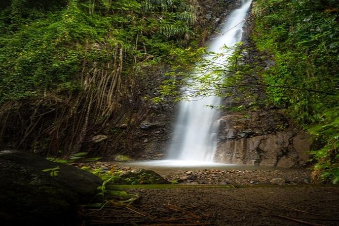 Dark View Falls & Botanical Gardens with Trubb Taxi Tours - A long look at St. Vincent’s Leeward side
