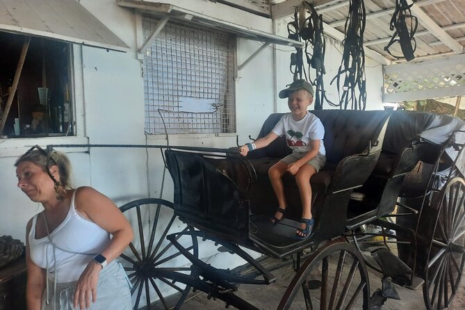 Dark View Falls & Botanical Gardens with Trubb Taxi Tours - Pirates of the Caribbean: a quick film-location stop