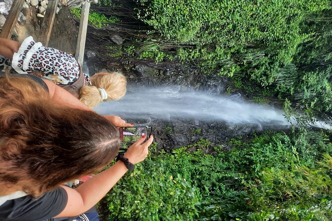 Dark View Falls & Botanical Gardens with Trubb Taxi Tours - What the guides add to the experience