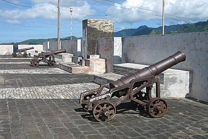 Dark View Falls & Botanical Gardens with Trubb Taxi Tours - Fort Charlotte: views first, fort second