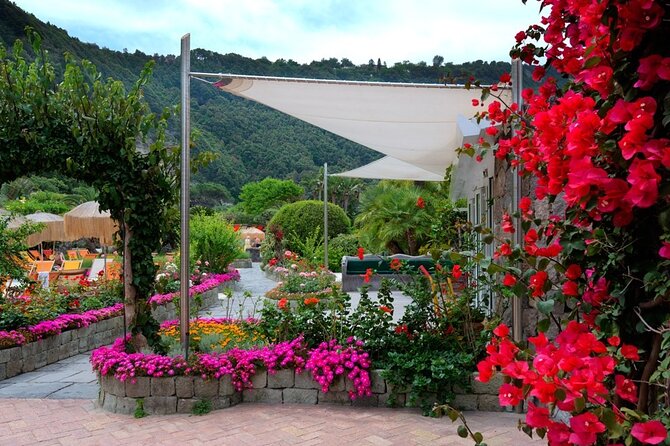 Day in Ischia in the Poseidon Gardens from Naples - Who Will Enjoy This Ischia Day Trip?