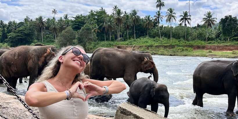 Day Tour to Elephant Orphanage / spice garden - Who should book this six-hour excursion?