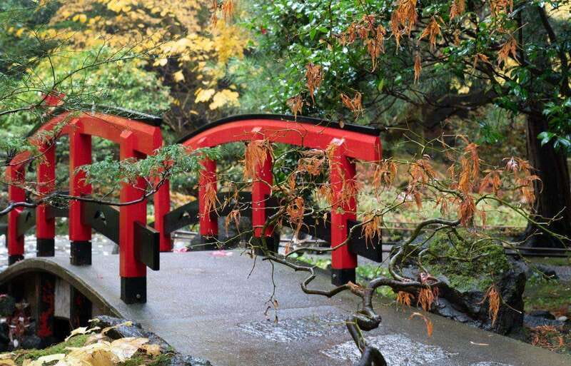 Day Trip from Vancouver to Victoria and Butchart Gardens - The return crossing and the long-day reality
