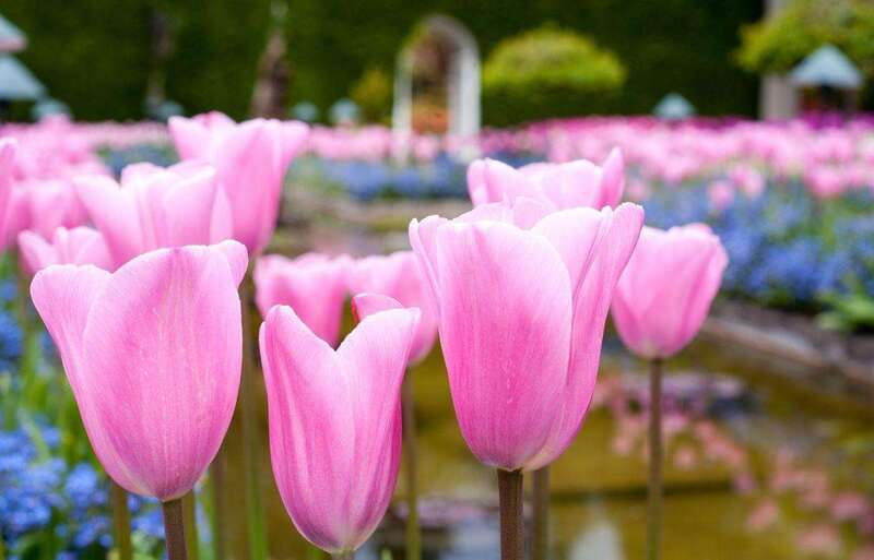 Day Trip from Vancouver to Victoria and Butchart Gardens - The morning ride to Tsawwassen