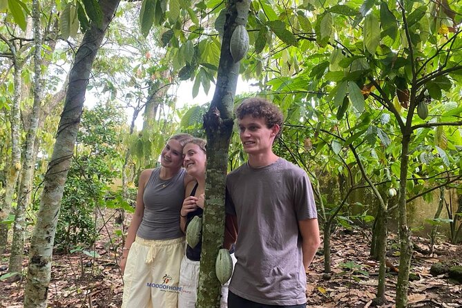 Day Trip Near Accra - Visit Aburi Gardens, Waterfall & Cocoa Farm - Oboadaka Falls: scenery with a workout