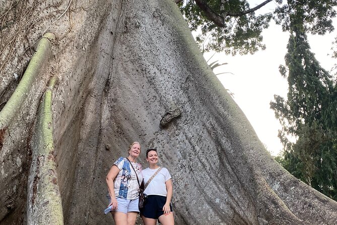 Day Trip Near Accra - Visit Aburi Gardens, Waterfall & Cocoa Farm - Traditional lunch closes the outing