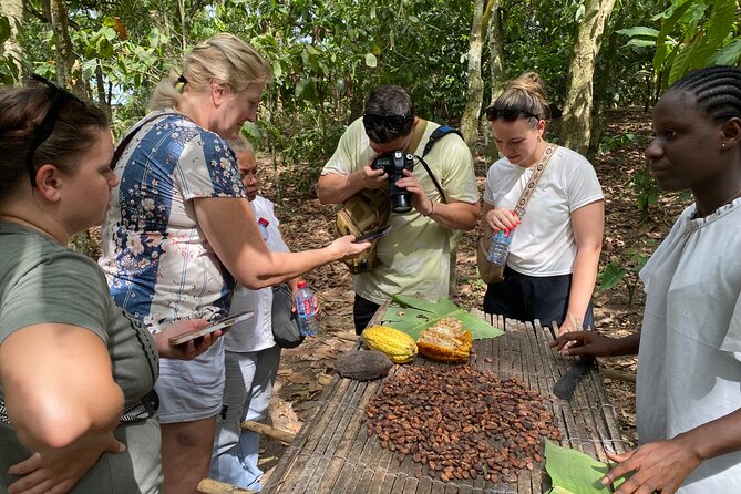 Day Trip Near Accra - Visit Aburi Gardens, Waterfall & Cocoa Farm - Tetteh Quarshie Cocoa Farm and Ghana’s first commercial crop