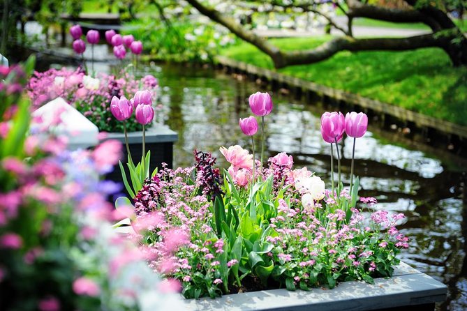 Day Trip to Keukenhof Gardens from Amsterdam with Tour Guide - Entering Keukenhof and the first 45 minutes