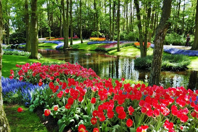 Day Trip to Keukenhof Gardens from Amsterdam with Tour Guide - What the $71.20 price really covers
