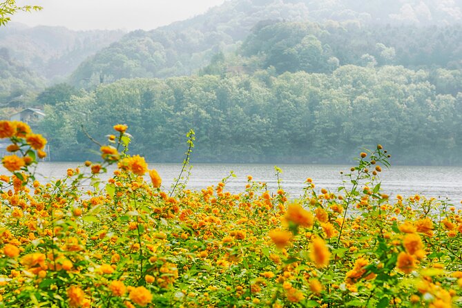 Day Trip to Nami Island with Rail bike and The Garden of Morning Calm - Gangchon Rail Bike through the countryside