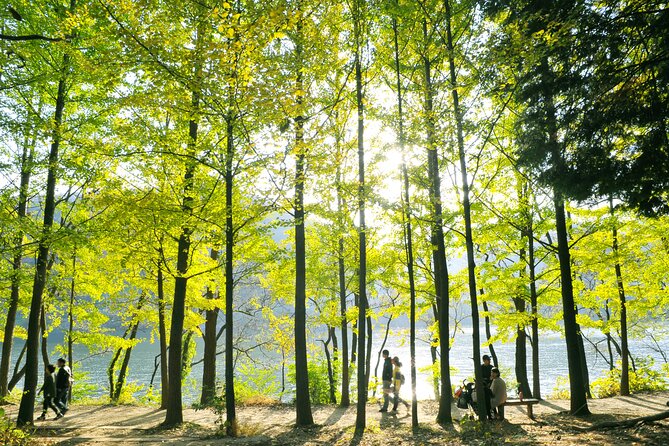 Day Trip to Nami Island with Rail bike and The Garden of Morning Calm - Who will enjoy this tour most