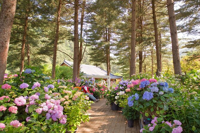 Day Trip to Nami Island with The Garden of Morning Calm - Winter light, ice, and changing schedules