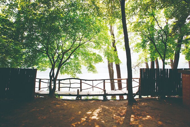 Day Trip to Nami Island with The Garden of Morning Calm - Handling weather and crowded dates