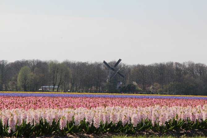 Day Trip To Tulip Gardens Of Keukenhof From Amsterdam: Private & Personalized - Why Keukenhof works best as a planned day trip