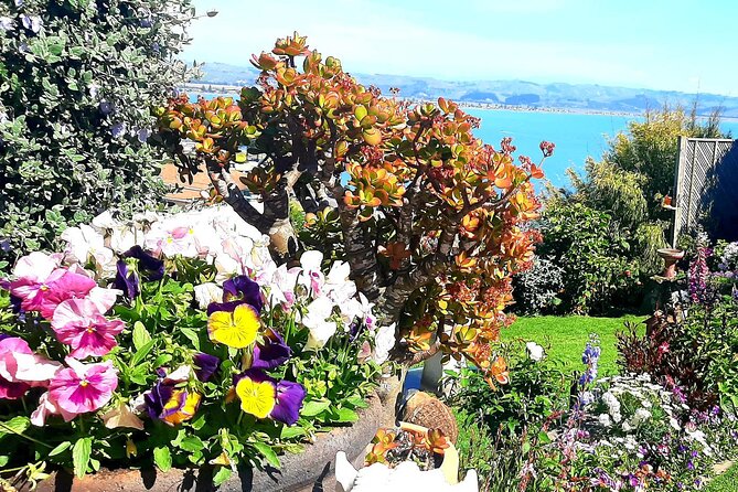 Deco Napier, Te Mata Peak, Garden Walk and Wine Tasting Tour - Why this three-hour tour works for a short Napier visit