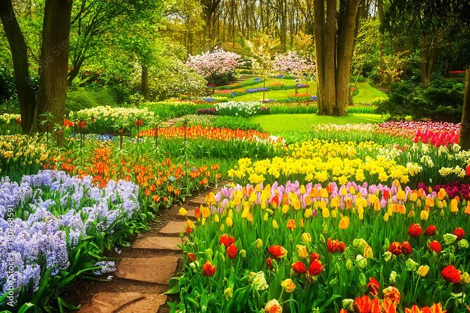 Delft and Keukenhof Gardens Tour from Brussels - Food, breaks, and the small practical details