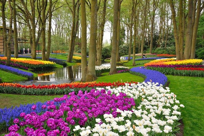 Delft and Keukenhof Gardens Tour from Brussels - Delft’s Markt and the first look at Dutch history