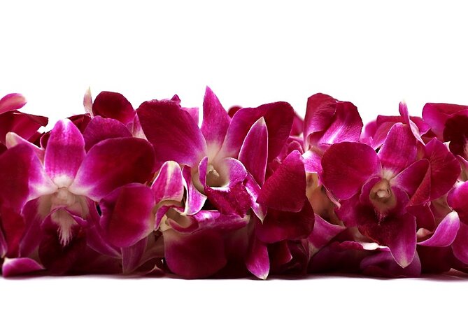Deluxe Orchid Lei Greeting (Maui, Kahului Airport, OGG) - Key points to know before you book