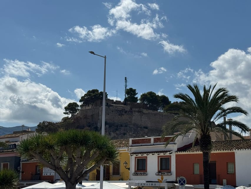 Denia and Mediterranean Gardens Day Trip - Quick reasons to consider this day trip