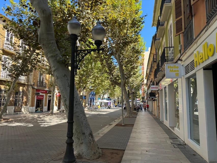 Denia and Mediterranean Gardens Day Trip - Transport, timing, and pickup points