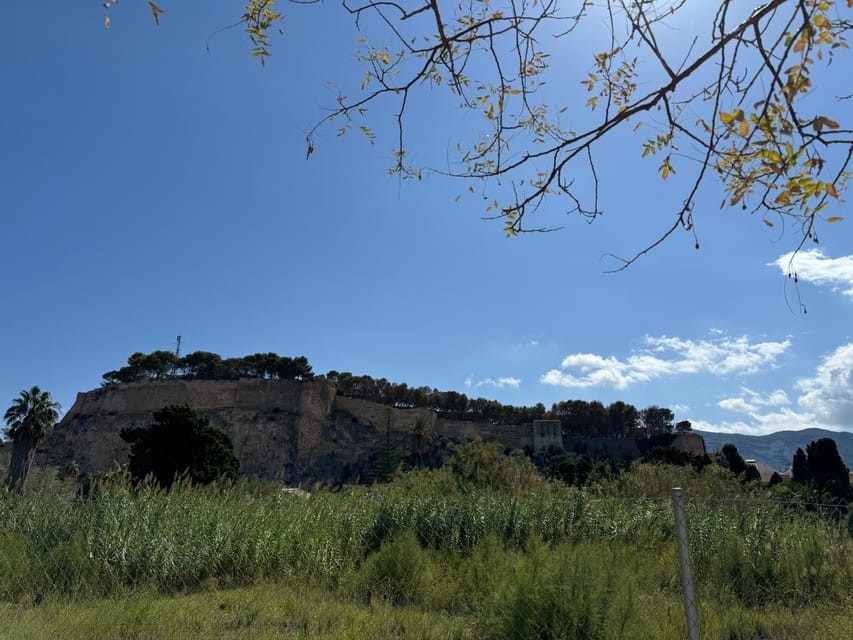 Denia and Mediterranean Gardens Day Trip - Who will enjoy this Costa Blanca outing?