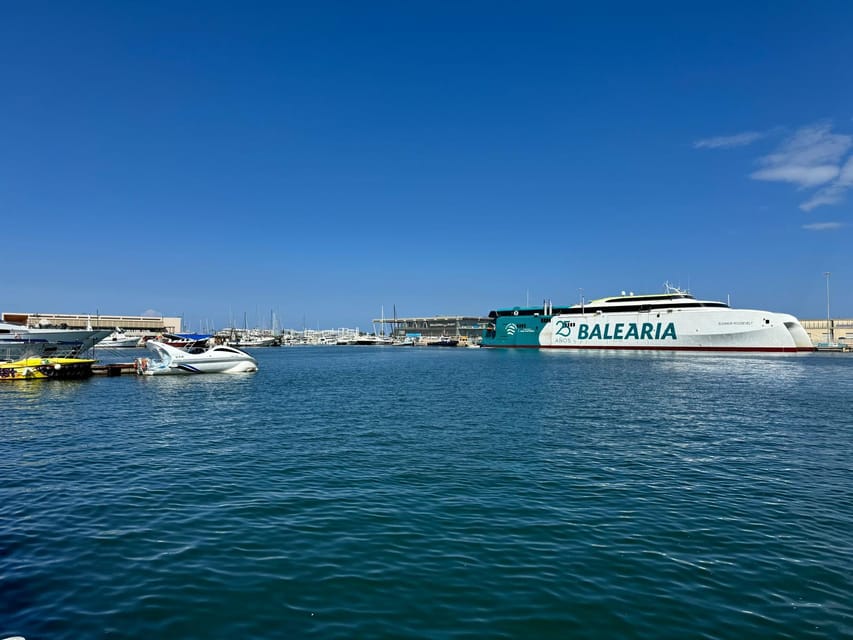 Denia and Mediterranean Gardens Day Trip - Should you book the Denia and Mediterranean Gardens trip?