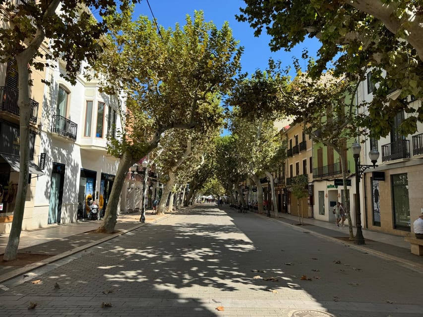 Denia and Mediterranean Gardens Day Trip - The short ride from Pedreguer to Denia