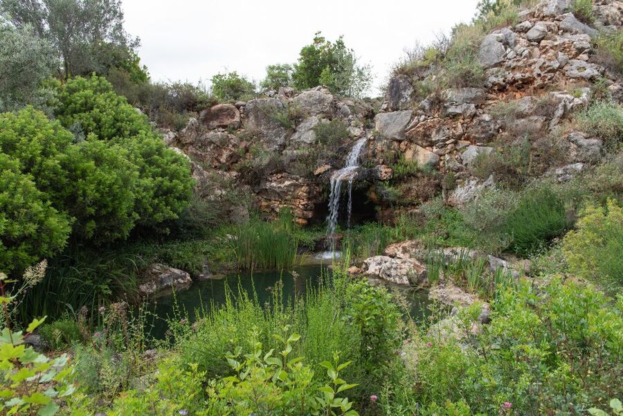 Denia: L'Albarda Garden Entry Ticket - Fountains, pools, and paths that reward wandering