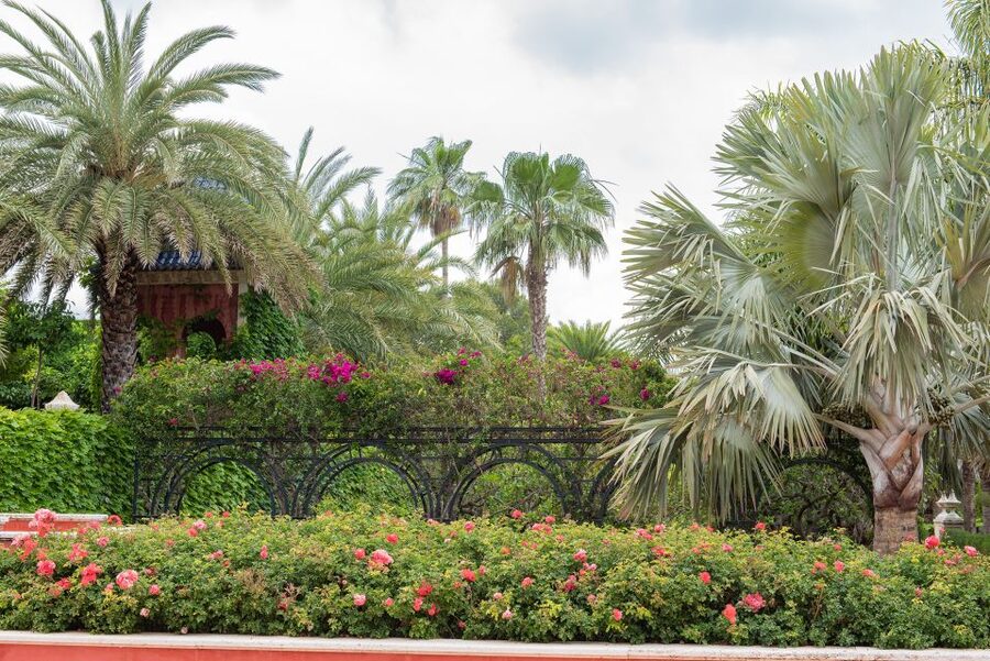Denia: L'Albarda Garden Entry Ticket - More than 700 Mediterranean plant species