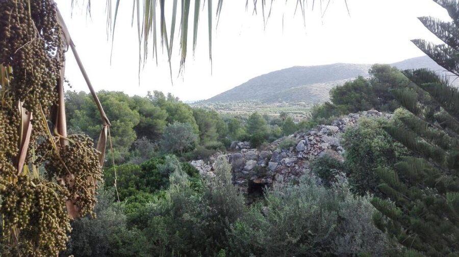 Denia: L'Albarda Garden Entry Ticket - A meeting of Arab and Renaissance ideas