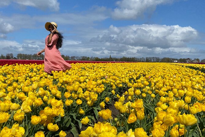 Discover Holland’s Beautiful Tulip Fields with an Expert Guide - Why this tulip tour feels different