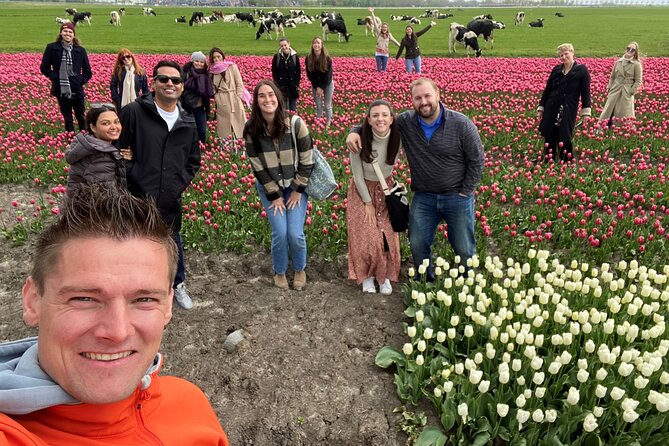 Discover Holland’s Beautiful Tulip Fields with an Expert Guide - What the $163.27 price buys you