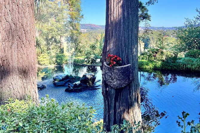 Discovering Magical Garden of Vines Tour in Quinta da Aveleda - Walking among Vinho Verde vines