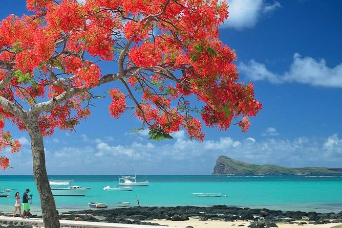 Discovering the North of Mauritius: Full-day incl Botanical garden & lunch - A long day that shows Mauritius beyond the coast