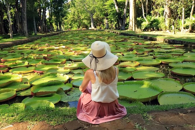 Discovering the North of Mauritius: Full-day incl Botanical garden & lunch - Lunch and the view from Fort Adelaide