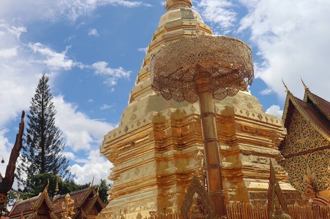 Doi Suthep Temple, Pha Lat Temple, Sticky Waterfall, Orchid farm - Getting hands-on at Bua Thong Sticky Waterfall