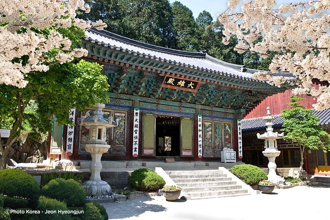 Donghaksa Temple Cherry Blossom and Jeonju Hanok Village - Key Points Before You Book