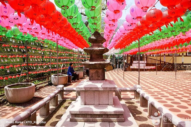 Donghaksa Temple Cherry Blossom and Jeonju Hanok Village - Why This Tour Works as a Seoul Day Trip