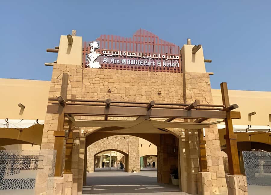 Dubai: Al Ain Garden City with Conservation Zoo - The camel market: authentic, brief, and worth handling carefully